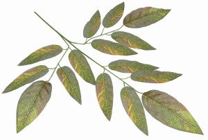 Gałązka sztucznych liści 67cm ASC24402