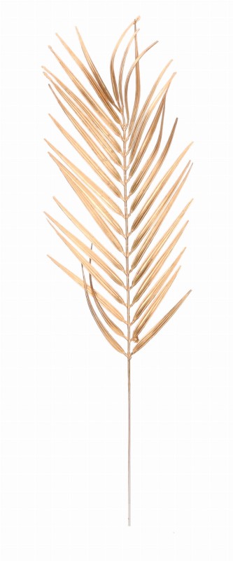 ASC24422 GAŁĄZKA 56 CM BN24_1.jpg