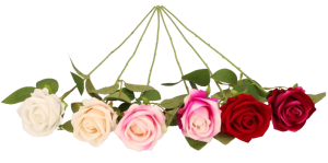 ASC24715_KWIAT_SZTUCZNY_2-removebg-preview.png