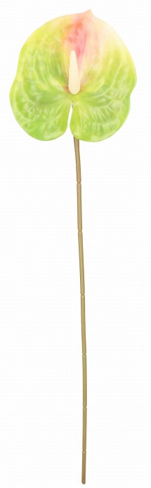 ASC240389-4 KWIAT SZTUCZNY ANTURUM 60CM_1.jpg