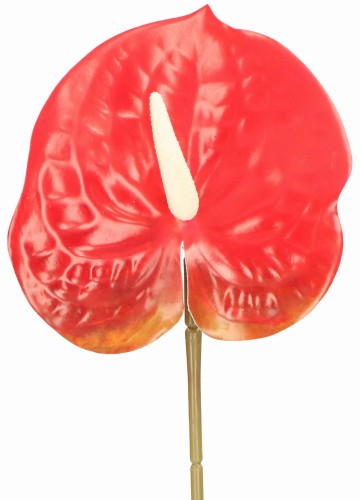 ASC240389-6 KWIAT SZTUCZNY ANTURUM 60CM_3.jpg