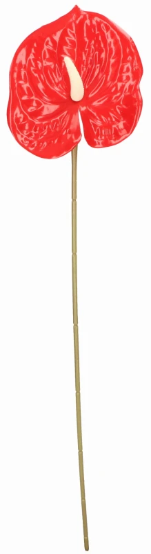 ASC240389-7 KWIAT SZTUCZNY ANTURUM 60CM_1.jpg
