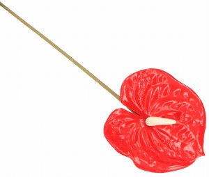 ASC240389-7 KWIAT SZTUCZNY ANTURUM 60CM_2.jpg