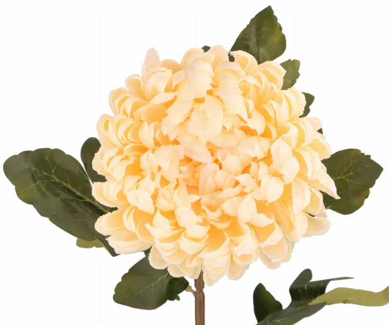 Kwiat sztuczny Chryzantema 75cm ASC21836-6 – zdjęcie 3