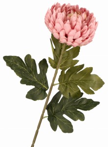 Kwiat sztuczny Chryzantema pastelowy róż 75cm ASC21836-13