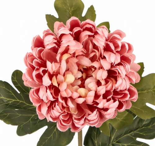 ASC21836-13 ASC24688-13 KWIAT SZTUCZNY CHRYZANTEMA_3.jpg