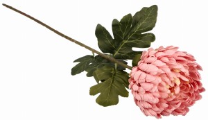 Kwiat sztuczny Chryzantema pastelowy róż 75cm ASC24688-13