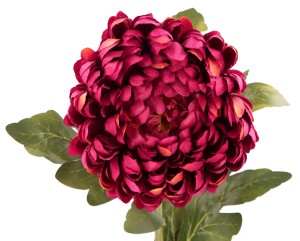 ASC21836-46 ASC24688-46 KWIAT SZTUCZNY CHRYZANTEMA_3.jpg