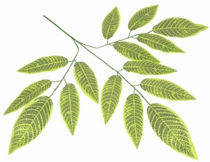 Gałązka sztucznych liści 70cm ASC24293