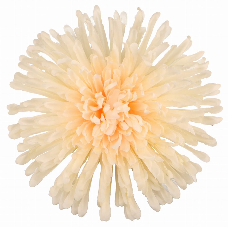 ASC240538-6 CHRYZANTEMA WYROBOWA_1.jpg