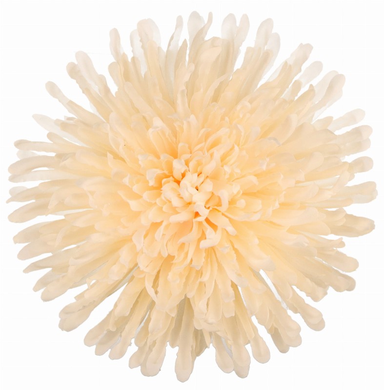 ASC240538-7 CHRYZANTEMA WYROBOWA_1.jpg