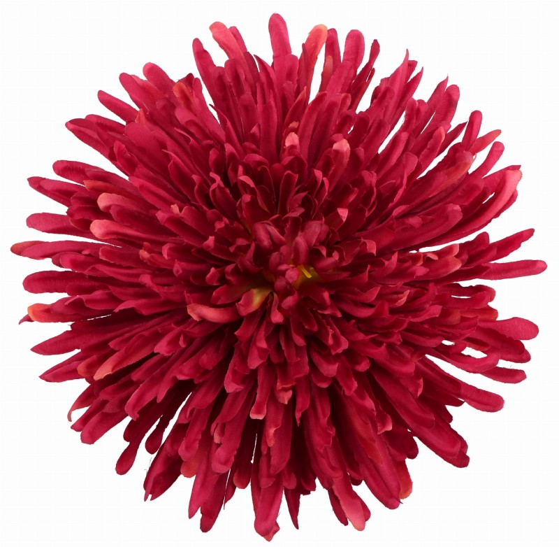 ASC240538-46 CHRYZANTEMA WYROBOWA_1.jpg