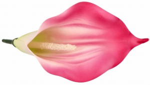 Kwiat sztuczny wyrobowy KALIA 17x10cm ASC240206-33 – zdjęcie 2