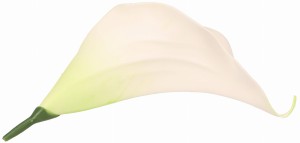 Kwiat sztuczny wyrobowy KALIA 17x10cm ASC240206-24 – zdjęcie 3