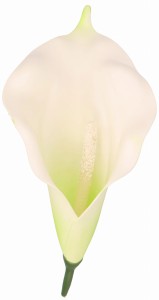 Kwiat sztuczny wyrobowy KALIA 17x10cm ASC240206-24 – zdjęcie 2