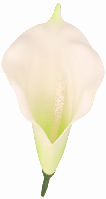 Kwiat sztuczny wyrobowy KALIA 17x10cm ASC240206-24 – zdjęcie 2