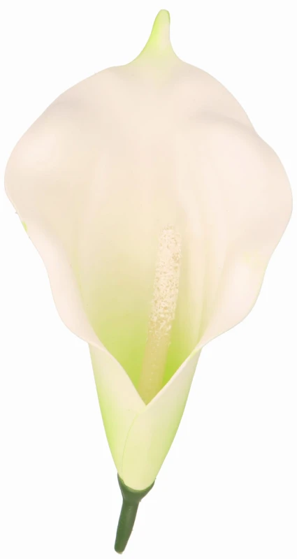 Kwiat sztuczny wyrobowy KALIA 17x10cm ASC240206-24 – zdjęcie 2
