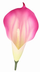 Kwiat sztuczny wyrobowy KALIA 17x10cm ASC240206-11 – zdjęcie 2
