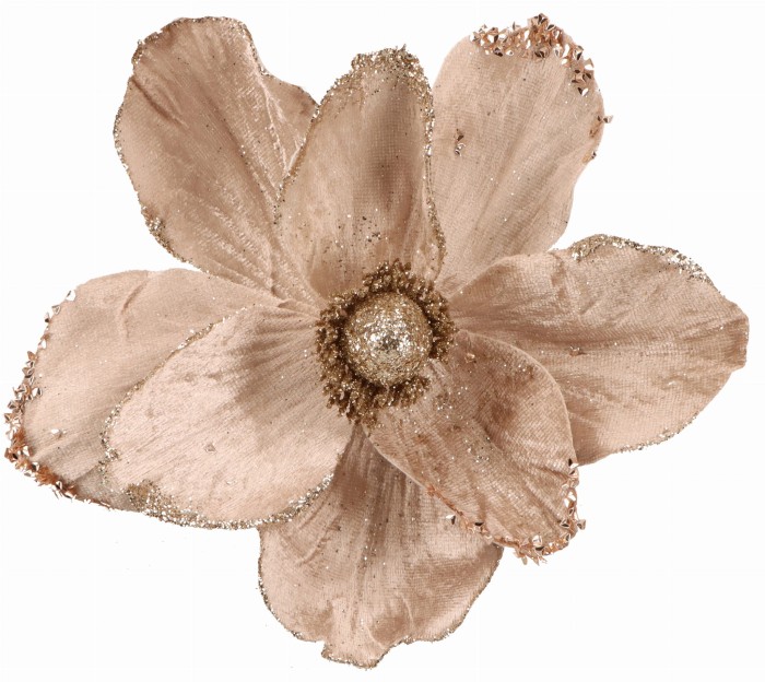 AST232010-3 GWIAZDA BETLEJEMSKA 20CM_1.jpg