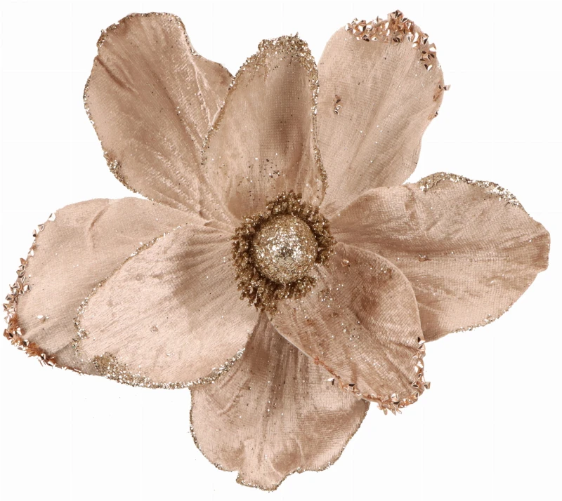 AST232010-3 GWIAZDA BETLEJEMSKA 20CM_1.jpg