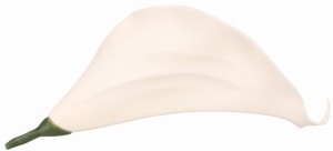 Kwiat sztuczny wyrobowy KALIA 17x10cm ASC240206-2 – zdjęcie 2