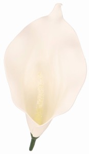Kwiat sztuczny wyrobowy KALIA 17x10cm ASC240206-2 – zdjęcie 3
