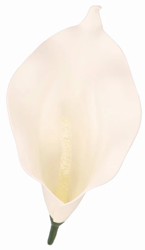 Kwiat sztuczny wyrobowy KALIA 17x10cm ASC240206-2 – zdjęcie 3