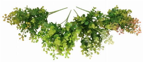 AST231811 ROSLINA 34 CM 20.08.2024_2.jpg