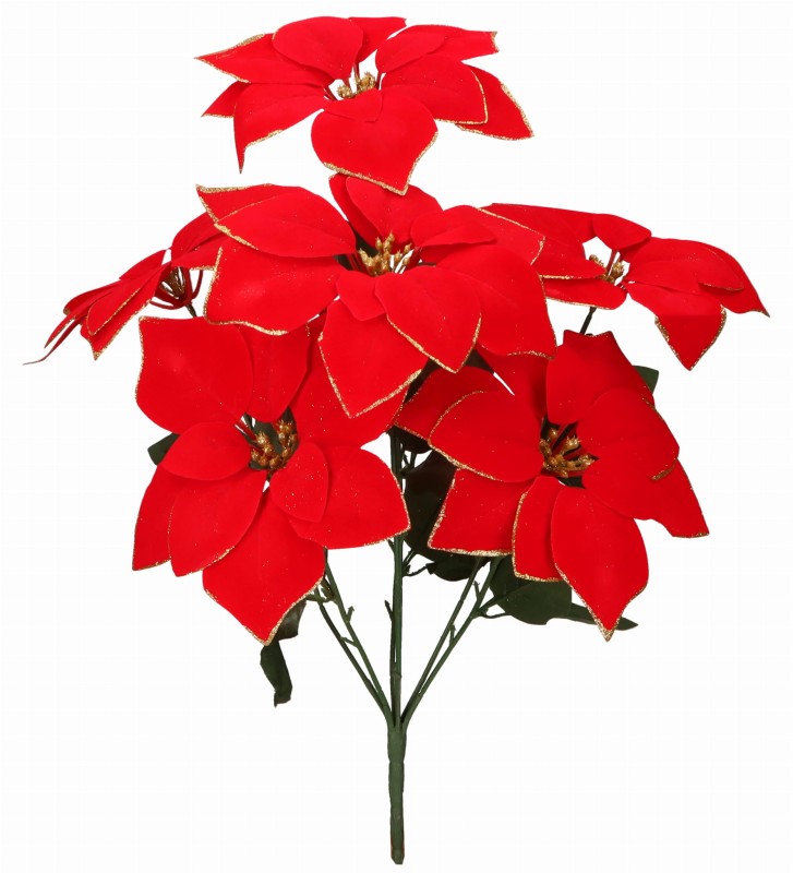 AST232100 GWIAZDA BETLEJEMSKA 50CM_1.jpg