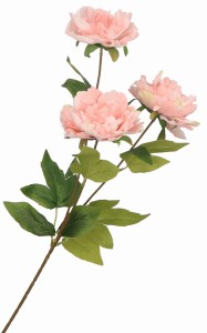 Kwiat sztuczny PIWONIA gałązka 70cm ASC23300-4