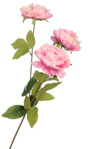 Kwiat sztuczny PIWONIA gałązka 70cm ASC23300-6
