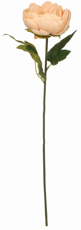 ASC20542-8 KWIAT SZTUCZNY_1.jpg