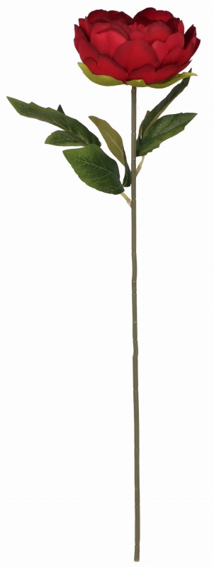 ASC20542-10 KWIAT SZTUCZNY_1.jpg