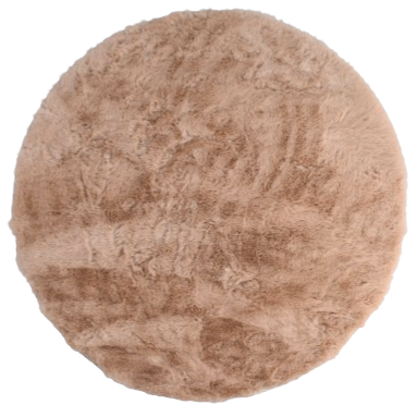 AST232736-6 DYAWNIK 6.png