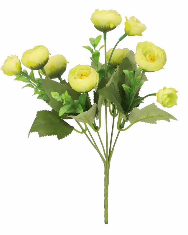 ASC240730-2 KWIAT_1.jpg