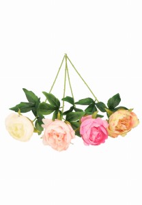 Kwiat sztuczny Piwonia pojedyncza 51cm ASC24714-mix 6 kolorów – zdjęcie 5