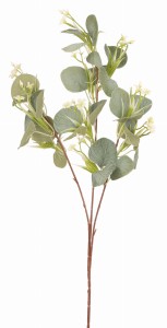 Eukaliptus gałązka 74cm ASC25080