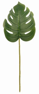 Monstera liść 65cm ASC25474
