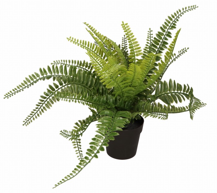 Paproć w doniczce 37cm AST40234