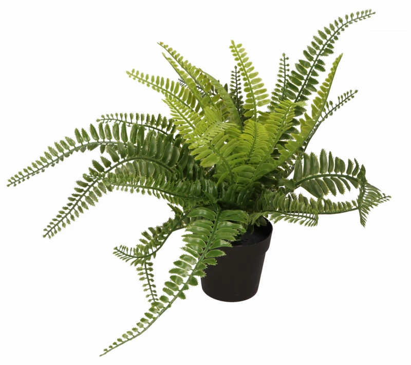 Paproć w doniczce 37cm AST40234