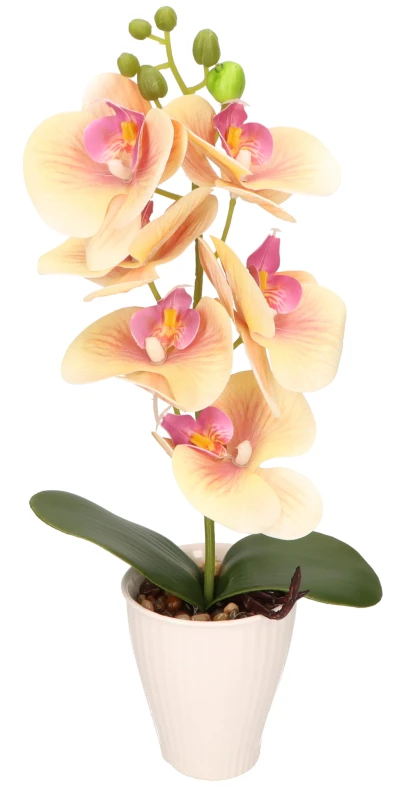 Storczyk w ceramicznej doniczce wys. 37cm AST40237 – zdjęcie 5