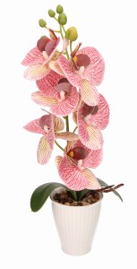 Storczyk w ceramicznej doniczce wys. 37cm AST40237 – zdjęcie 2