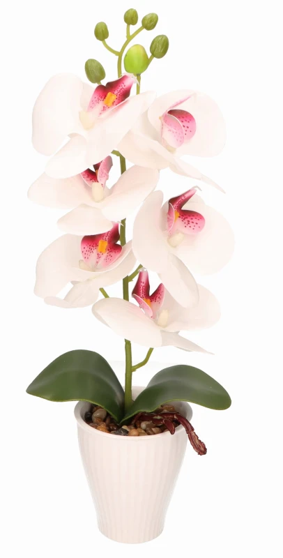 Storczyk w ceramicznej doniczce wys. 37cm AST40237 – zdjęcie 3