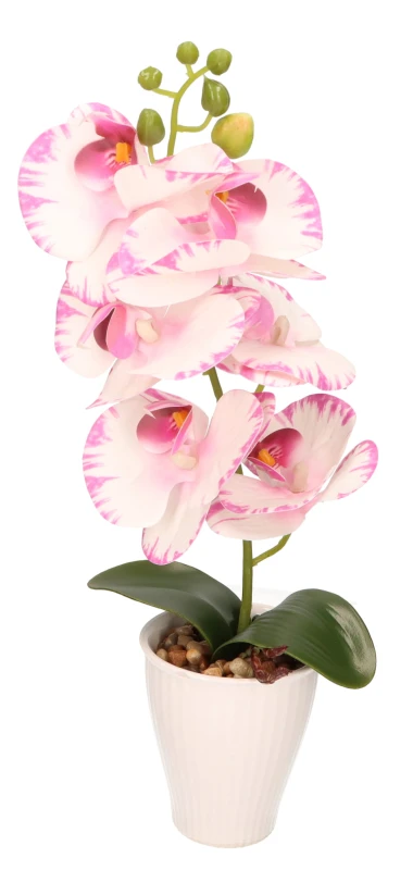Storczyk w ceramicznej doniczce wys. 37cm AST40237 – zdjęcie 4