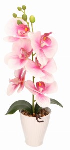 Storczyk w ceramicznej doniczce wys. 37cm AST40237