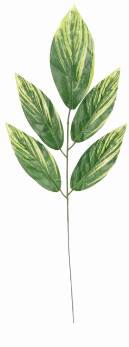 Liść mango 55 cm ASC27228
