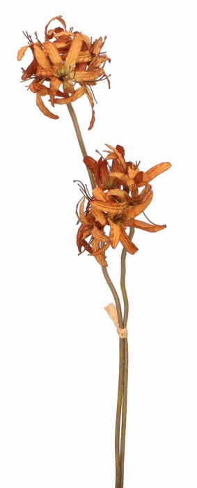 Gałązka jesienna 60cm ASC25016-mix 3 kolorów