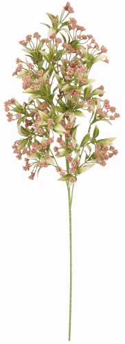 ASC25040 ROŚLINA 80CM_1.jpg