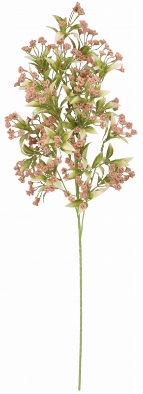 ASC25040 ROŚLINA 80CM_1.jpg