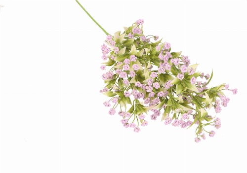 ASC25040 ROŚLINA 80CM_2.jpg